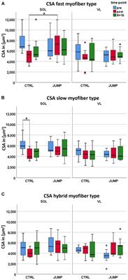 Reactive Jumps Preserve Skeletal Muscle Structure, Phenotype, and Myofiber Oxidative Capacity in Bed Rest